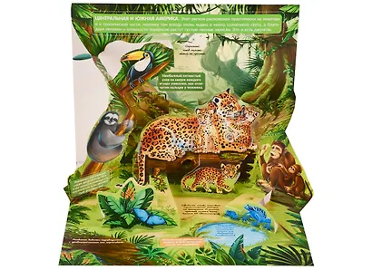 Живая планета. Джунгли (книжка-панорамка) - фото 4