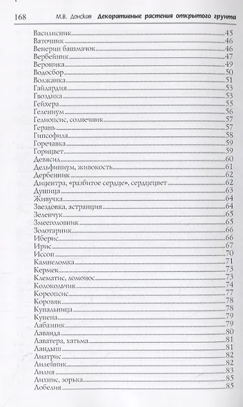 Декоративные растения открытого грунта - фото 3