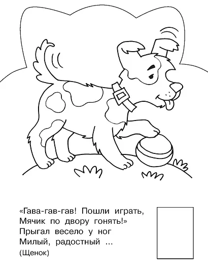 Домашние животные - фото 7