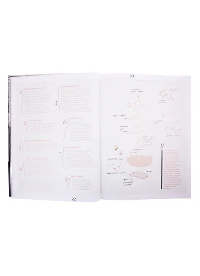 Эфемерный десерт на тарелке - фото 8