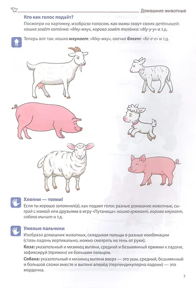 Я говорю правильно. В 5 тетрадях. Тетрадь 3. Домашние и дикие животные, птицы, рыбы, насекомые. 4-7 лет - фото 3