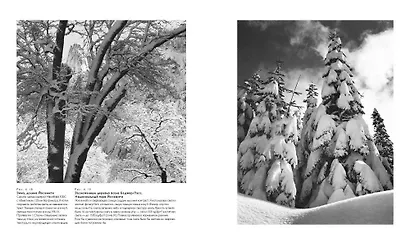 Ансель Адамс. Камера. Негатив. Отпечаток - фото 7