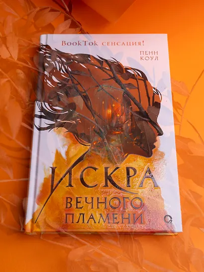 Искра вечного пламени - фото 9
