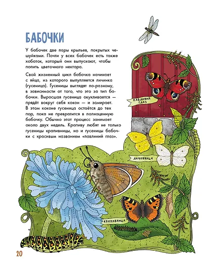 Насекомые - фото 6