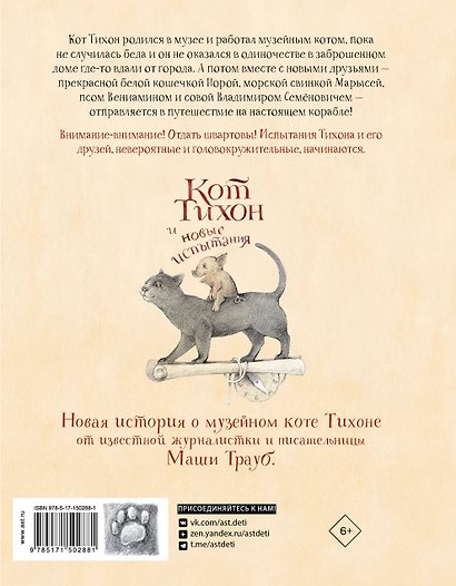 Кот Тихон и новые испытания - фото 2