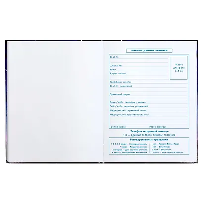 Дневник для младших классов Феникс+, "Звездный улов" - фото 4