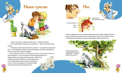 Большая книга здоровья для всей семьи - фото 11