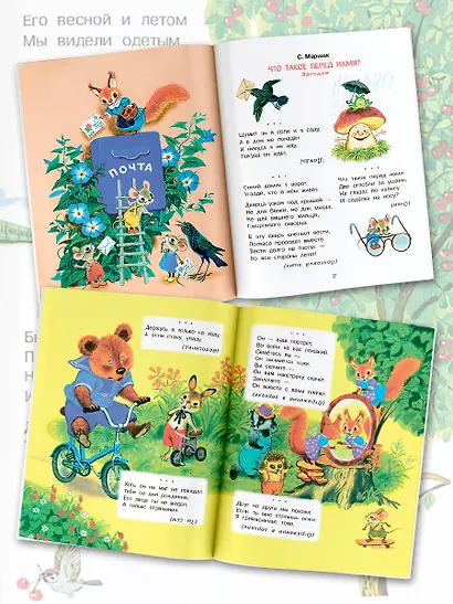 Загадки в стихах и картинках - фото 4