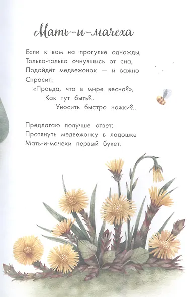 Стихи о цветах - фото 9