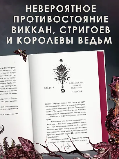 Кредо викканки. Знаки и знамения (#1) - фото 5