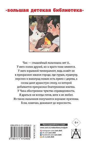 Детство Чика. Рассказы - фото 2