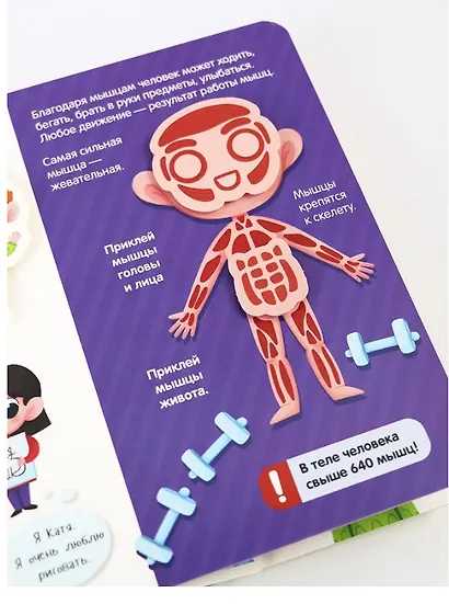 Липучки. Моё тело - фото 6