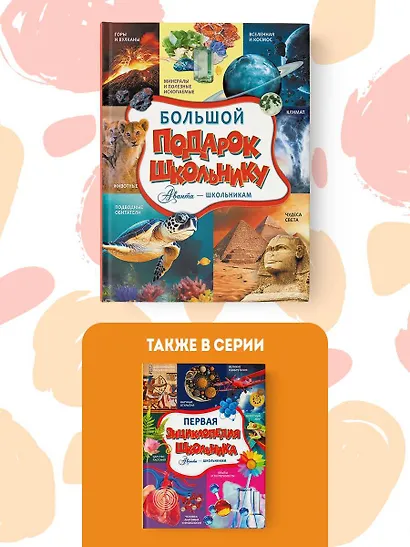 Большой подарок школьнику - фото 5