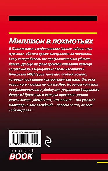 Миллион в лохмотьях - фото 2