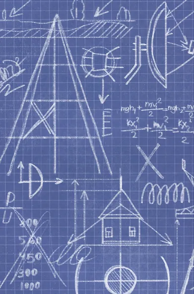 Птичий остров - фото 3