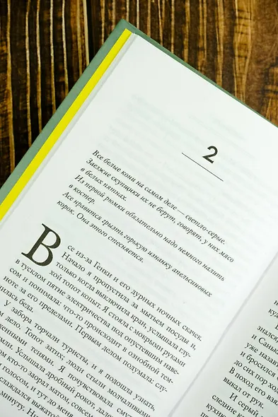 Саспыга - фото 8