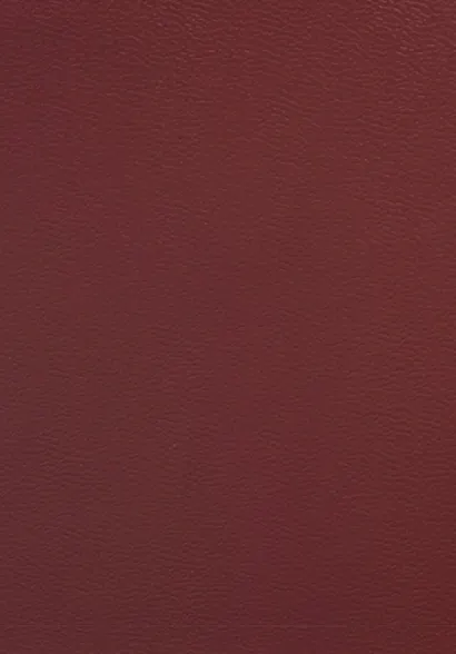 Воспоминания Железного канцлера - фото 2