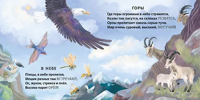 Кто где живет. Загадки-рифмы - фото 4