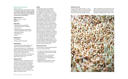 Beer Expert: Пиво. Идеальный путеводитель по сортам, видам, рецептам - фото 9