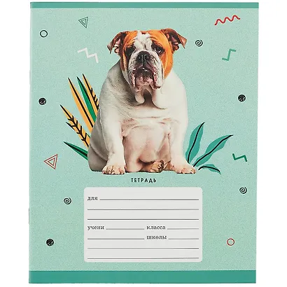 Тетрадь в клетку Listoff, "Зоомир", 24 листа, в ассортименте - фото 4