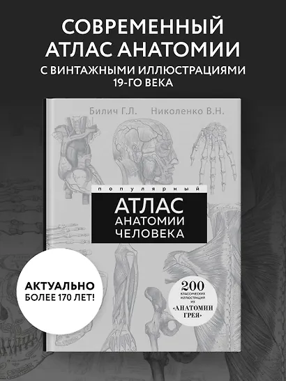 Популярный атлас анатомии человека. Анатомия Грея. 200 классических иллюстраций - фото 4