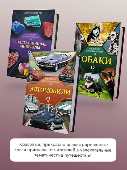 Кошки - фото 6