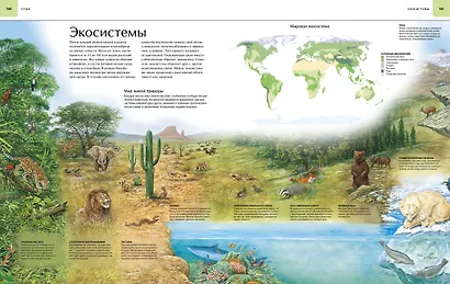 Земля. Иллюстрированный атлас - фото 11