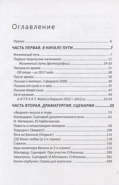 Митюшин Игорь. Прерванный полет - фото 2