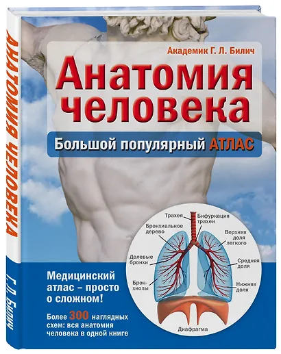 Анатомия человека: большой популярный атлас - фото 3