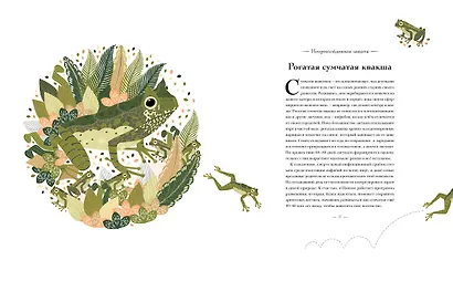 Книга исчезающих животных для неравнодушных сердец - фото 6