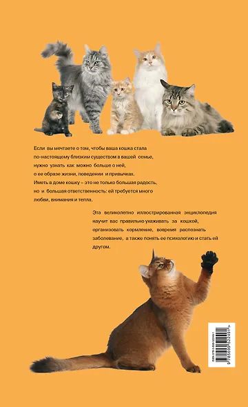 Кошки. Иллюстрированная энциклопедия - фото 2