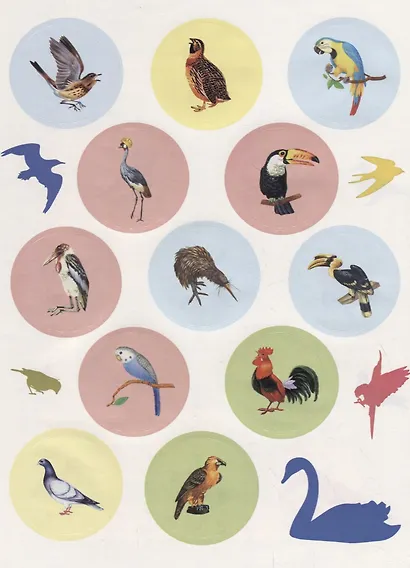 Птицы. Познавательные наклейки - фото 3