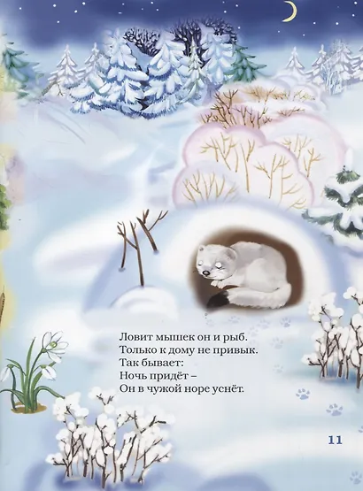 Лесные жители (6+) - фото 6