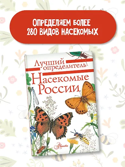 Насекомые России - фото 3