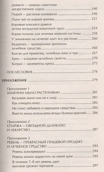 Наши дачные лекари - живые витамины. Овощные и дикорастущие растения - фото 7