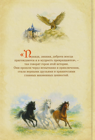 Камень мудрости для Вероники. Современная сказка - фото 2