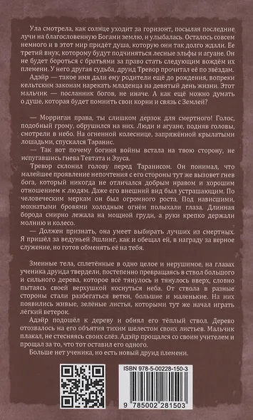 Воин Света. Часть 6. Шепот Земли - фото 2