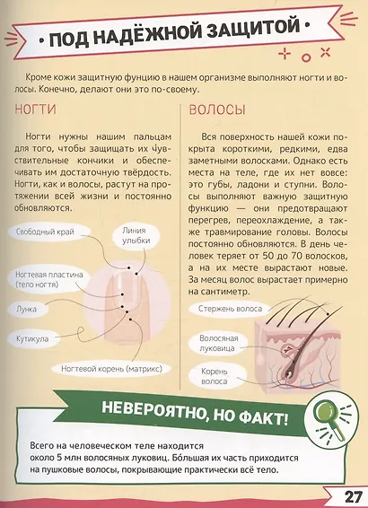 Большая энциклопедия дошкольника с дополненной реальностью - фото 9