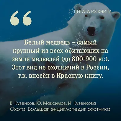 Охота. Большая энциклопедия. 17 диких зверей - фото 7