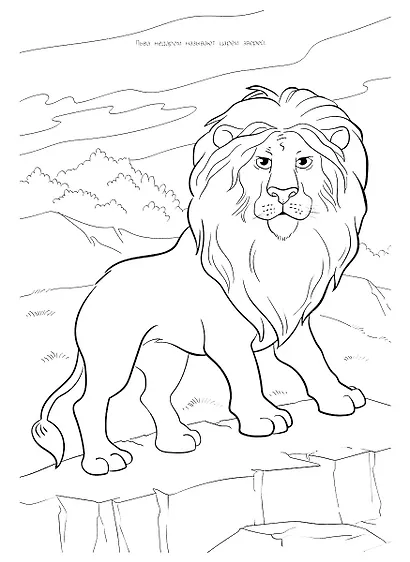 Мегараскраска. Животные - фото 8