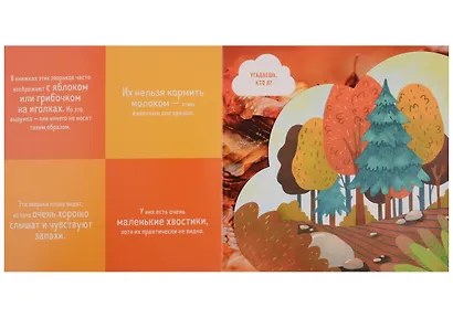 Кто прячется в лесу? - фото 3