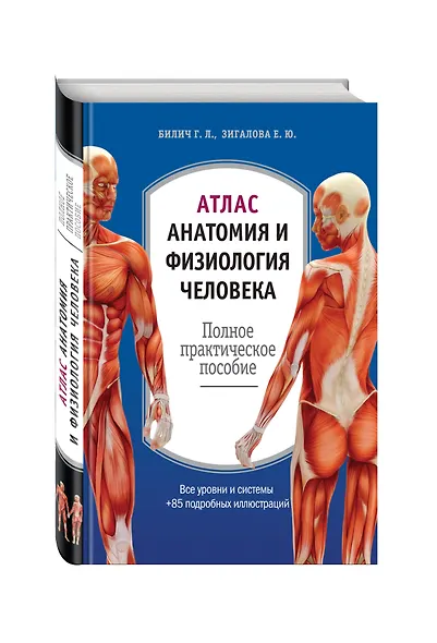 Атлас: анатомия и физиология человека: полное практическое пособие - фото 3