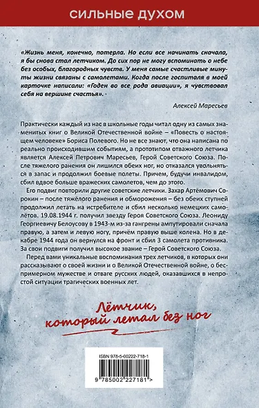 В небе над Курском. Реальный герой "Повести о настоящем человеке" - фото 2
