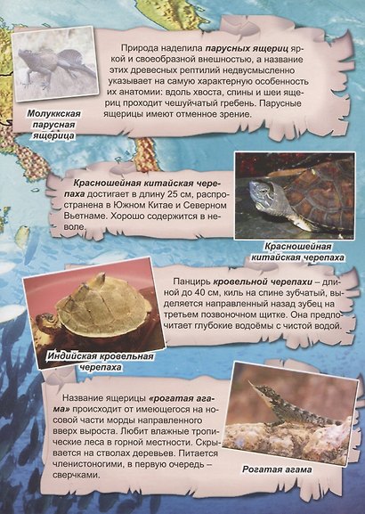 Рептилии и рыбы - фото 5