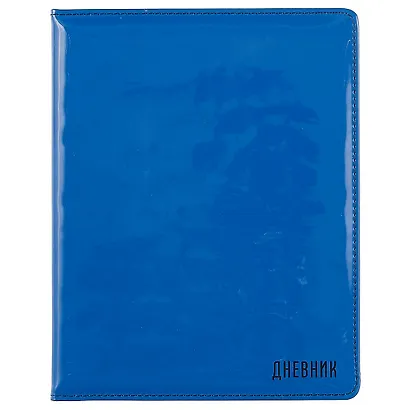 Дневник школьный GoodMark, Blue&Puffy sticker - фото 3