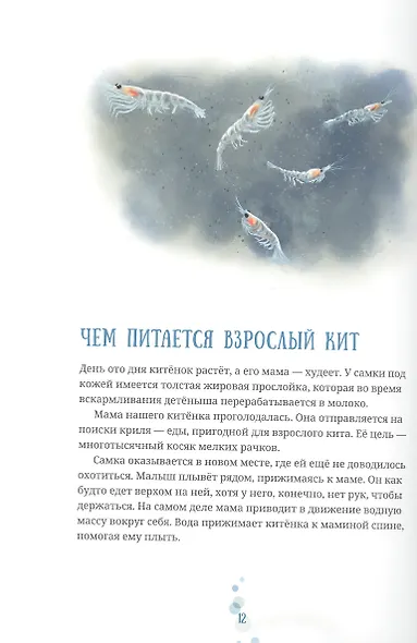 Синий кит: невероятная история самого крупного животного всех времён. Издание 2-е, исправленное - фото 4