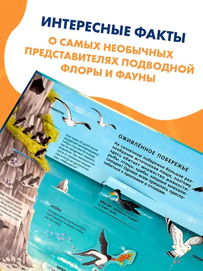Все тайны подводного мира - фото 5