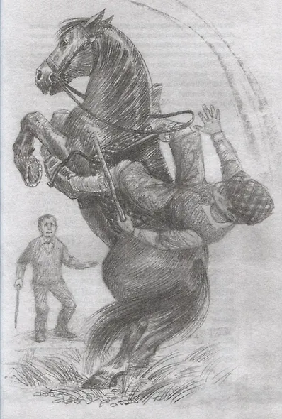 Черный Красавчик - фото 3