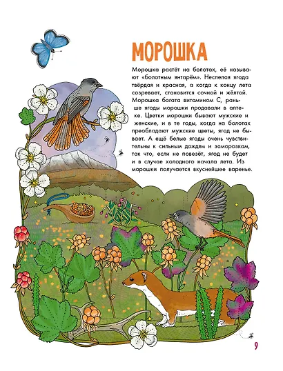 Грибы и ягоды - фото 6