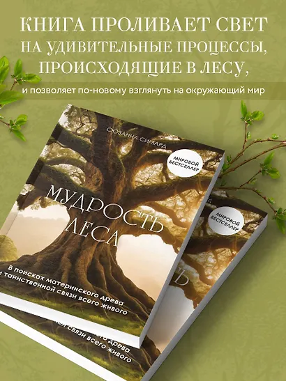 Мудрость леса. В поисках материнского древа и таинственной связи всего живого - фото 8